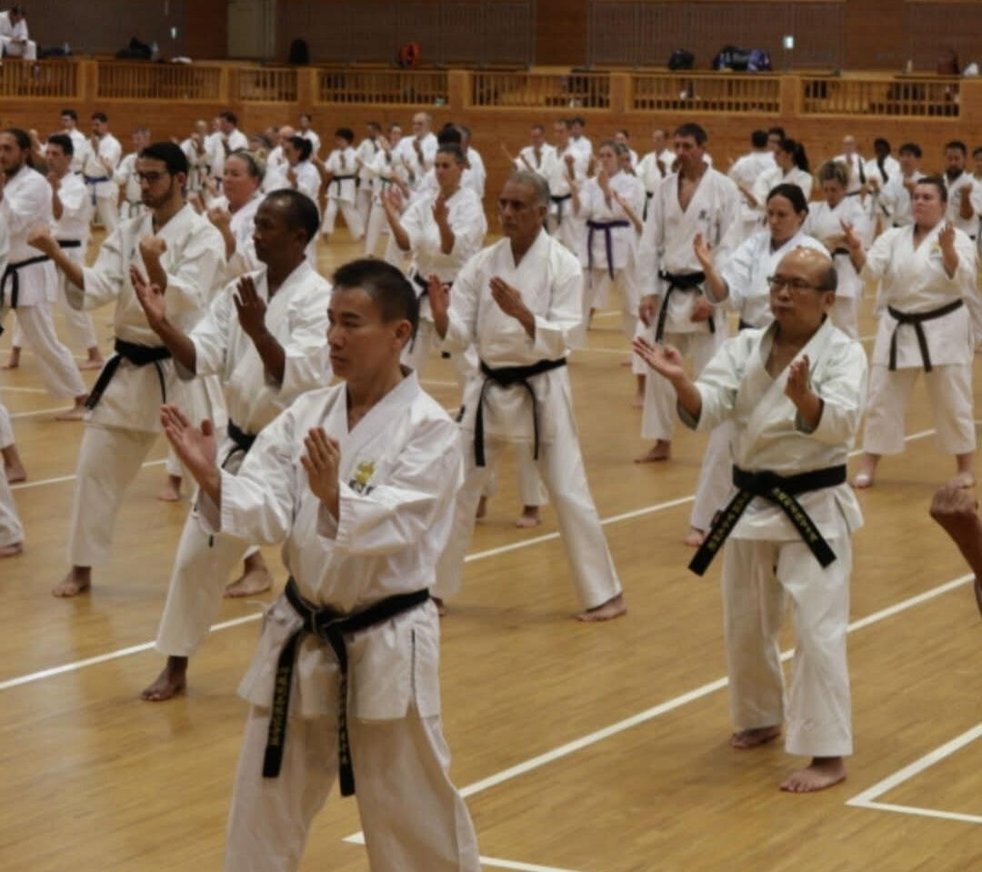 Karate 空手道練習 沖繩空手道大會